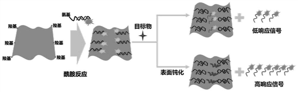 A Fluorescence Detection Method of Oxytetracycline Based on Surface Passivation and Covalent Coupling