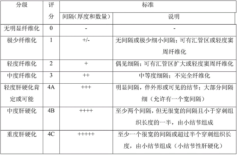 Method for establishing rhesus monkey hepatic fibrosis model by intragastric administration method