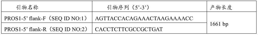 PROS1 gene molecular marker related to chicken carcass traits and application