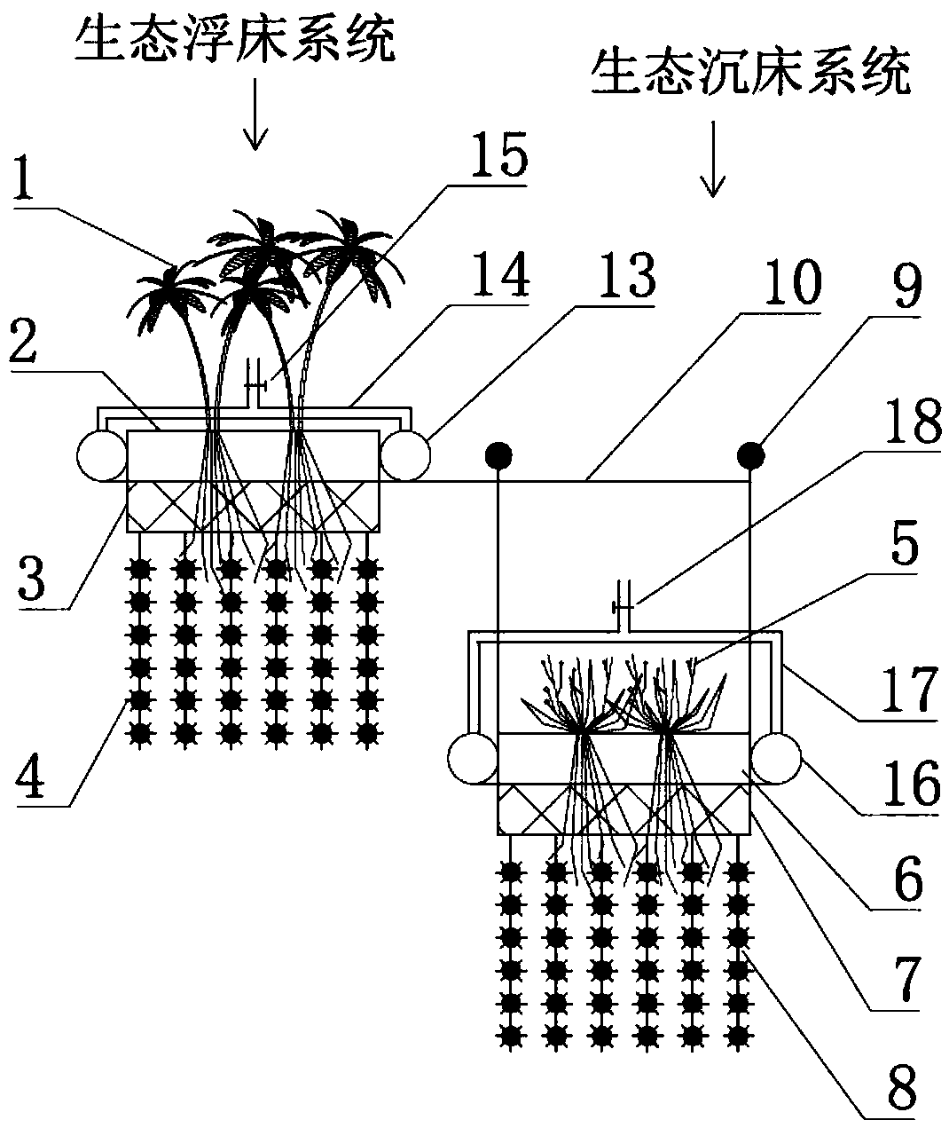 Three-dimensional floating bed and sinking bed combined type river water purifying device