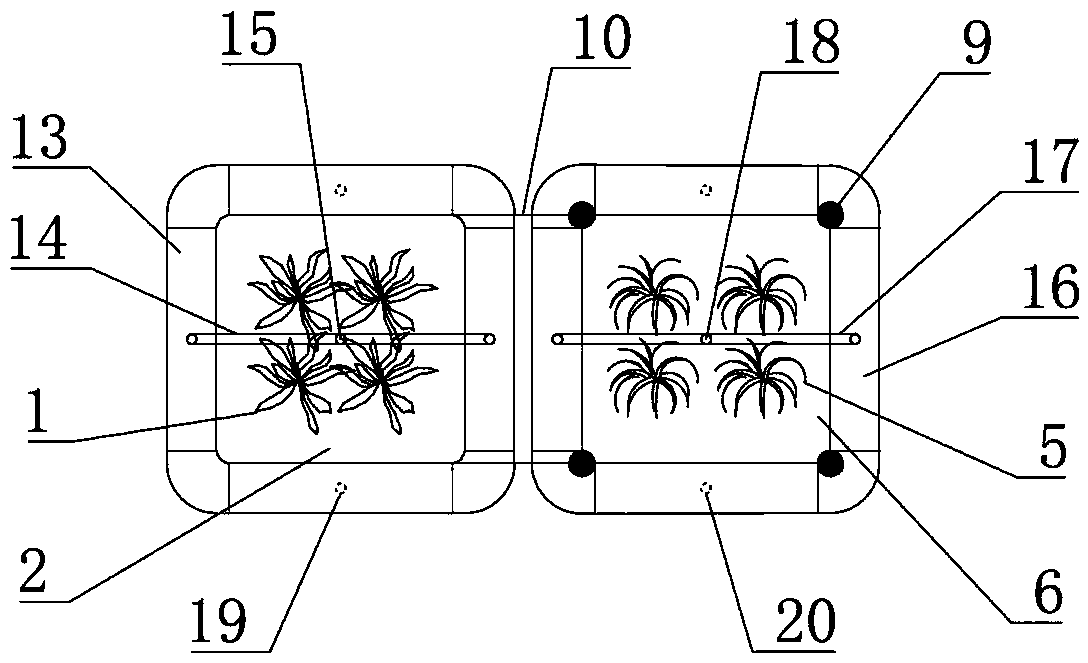 Three-dimensional floating bed and sinking bed combined type river water purifying device