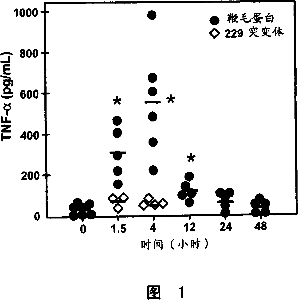 Use of flagellin in tumor immunotherapy