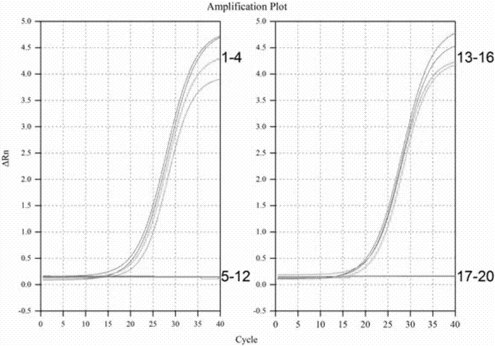 Quadruple fluorescent PCR primer set, probe set, kit and method for detecting four pathogenic bacteria in drinking water