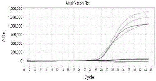 A kind of pathogenic nucleic acid and drug resistance gene detection kit and its application