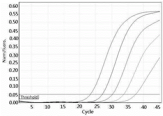 A kind of pathogenic nucleic acid and drug resistance gene detection kit and its application