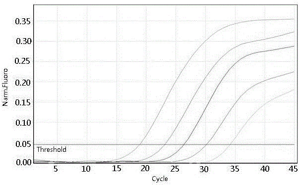 A kind of pathogenic nucleic acid and drug resistance gene detection kit and its application