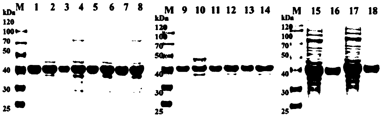 Efficient preparation method of intermediate of heterocyclic drugs