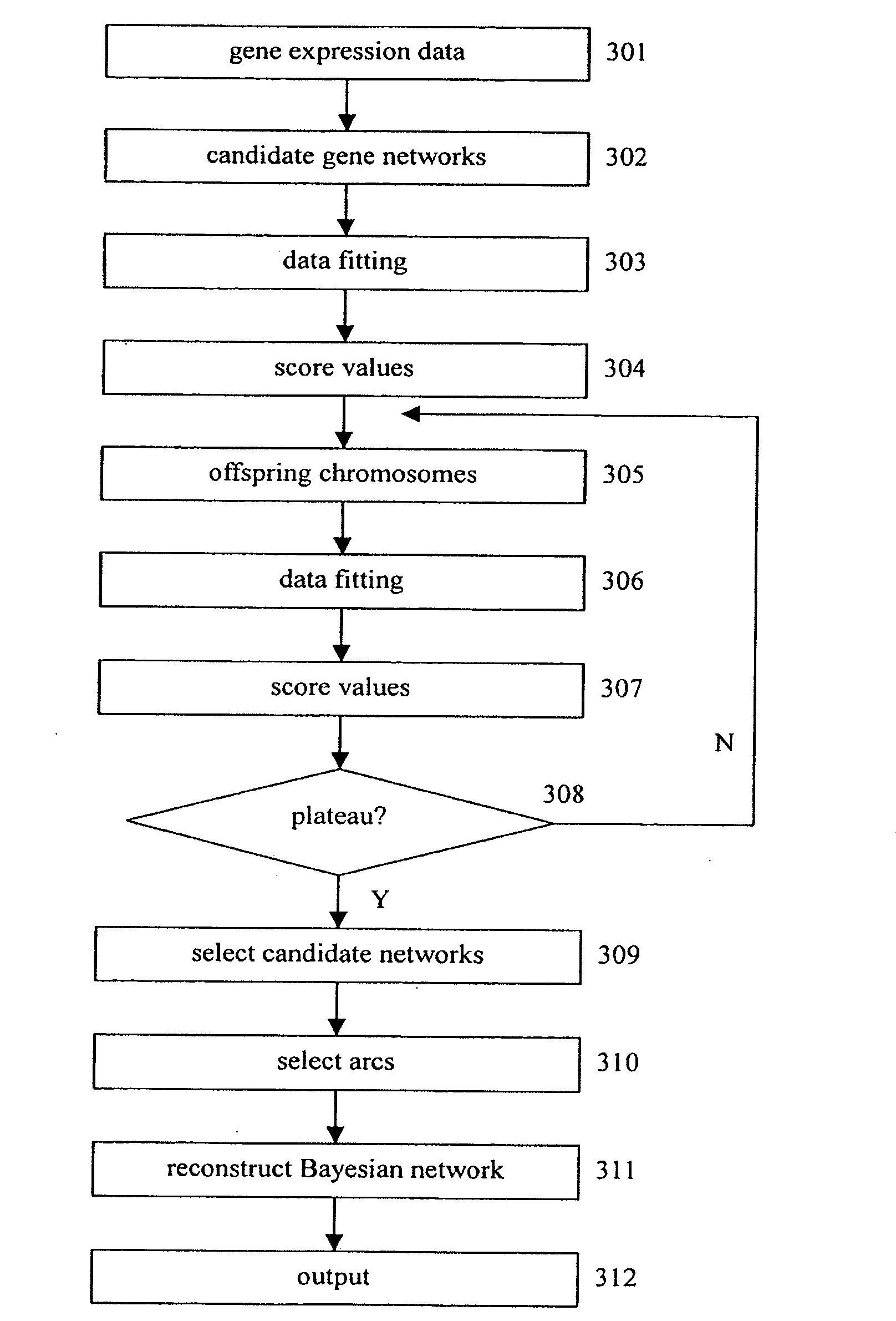 Reconstruction of gene networks from time-series microarray data