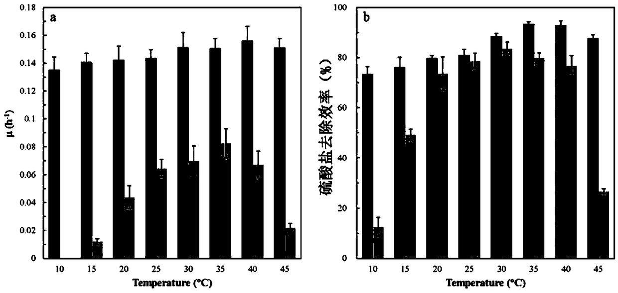 Immobilized sulfate reducing bacterium particle preparation method and application