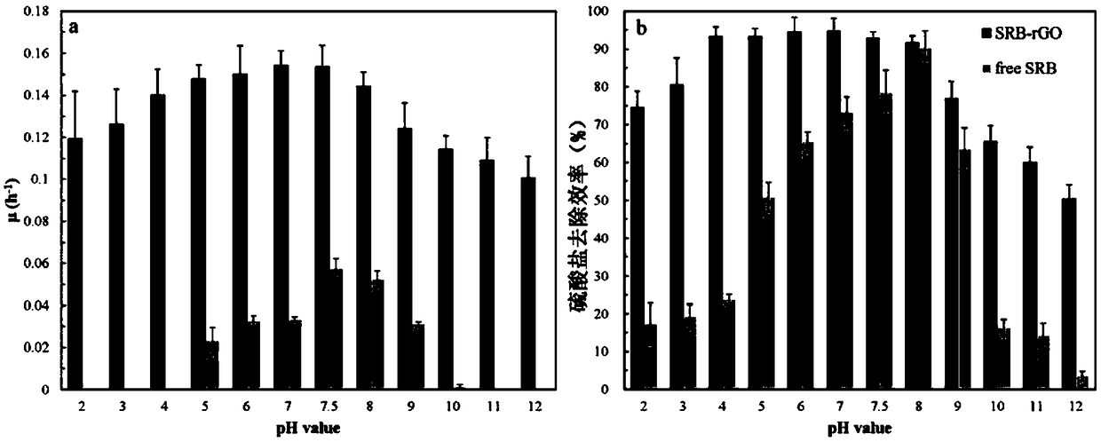 Immobilized sulfate reducing bacterium particle preparation method and application