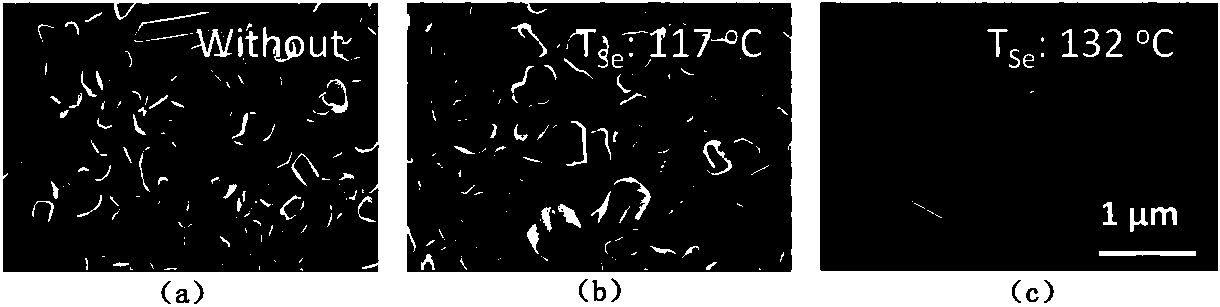 Antimony selenide thin film preparation method and device