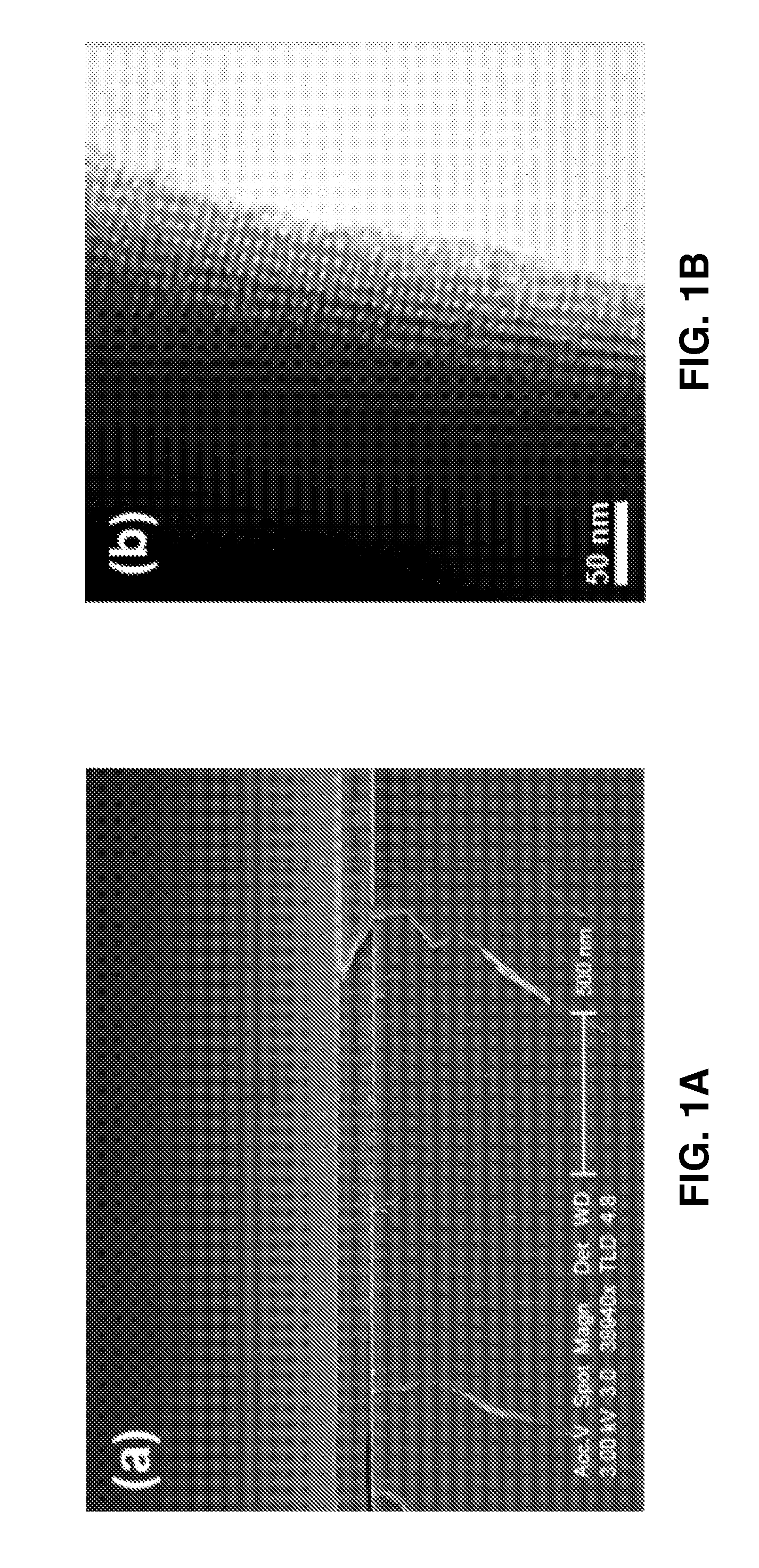 Functionalized inorganic films for ion conduction