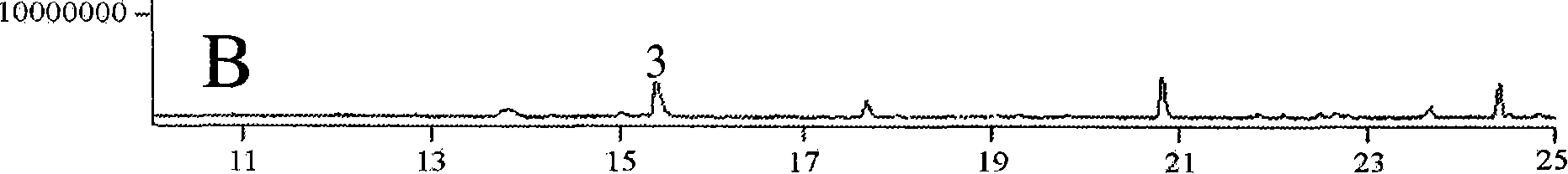 Transformed plants accumulating mono- and/or sesquiterpenes