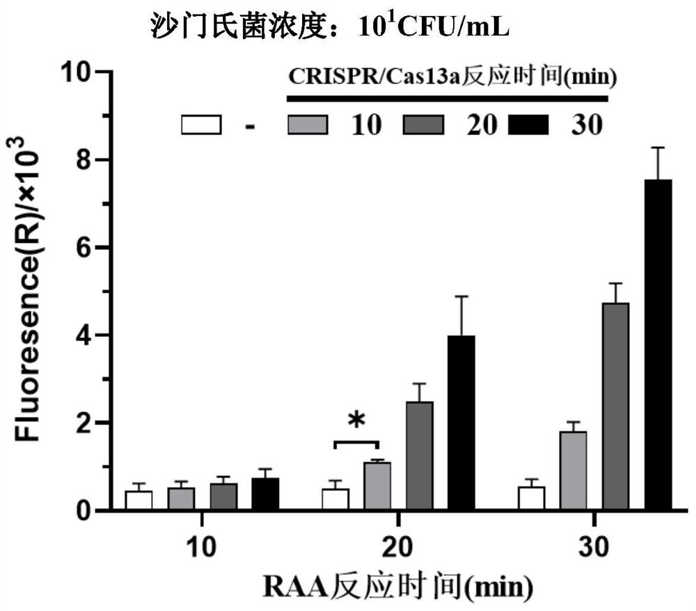 Method for jointly detecting microorganisms through combination of nucleic acid isothermal amplification and CRISPR/Cas13a, and application of method