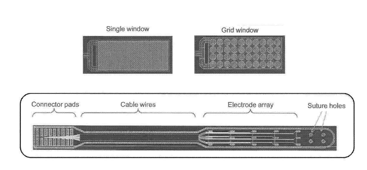 Multi-electrode array for spinal cord epidural stimulation