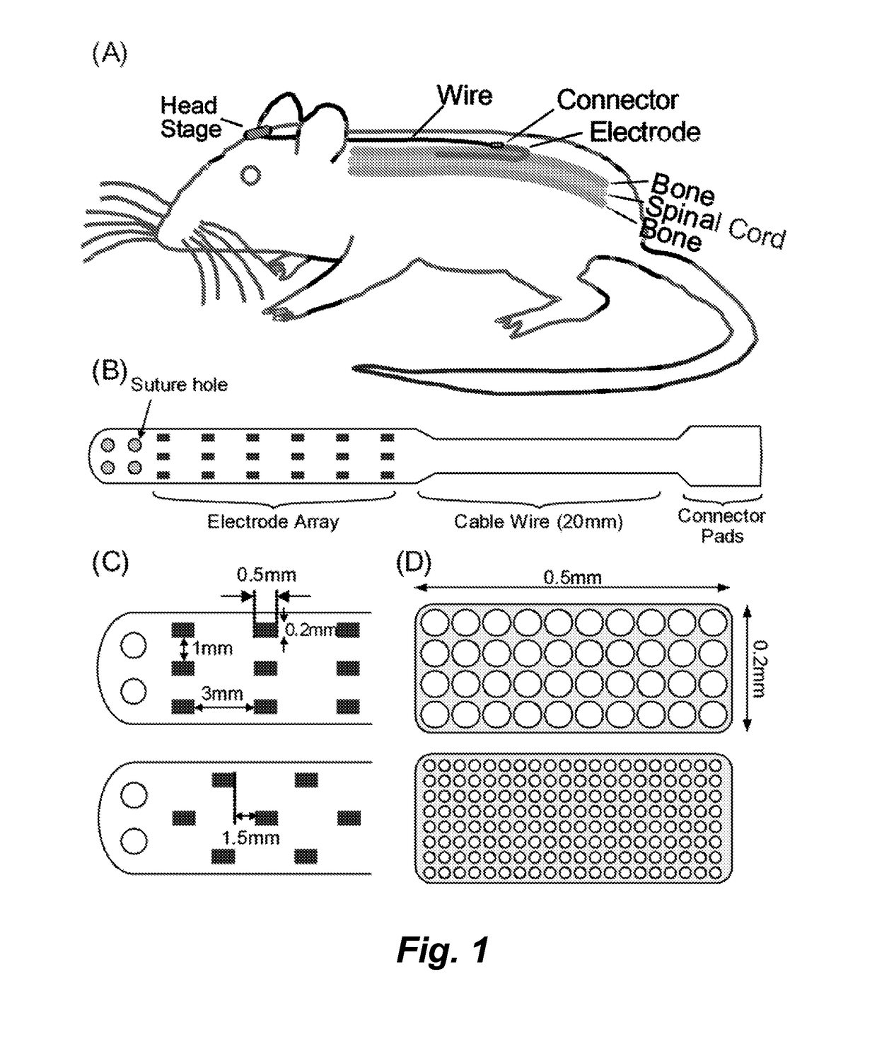 Multi-electrode array for spinal cord epidural stimulation