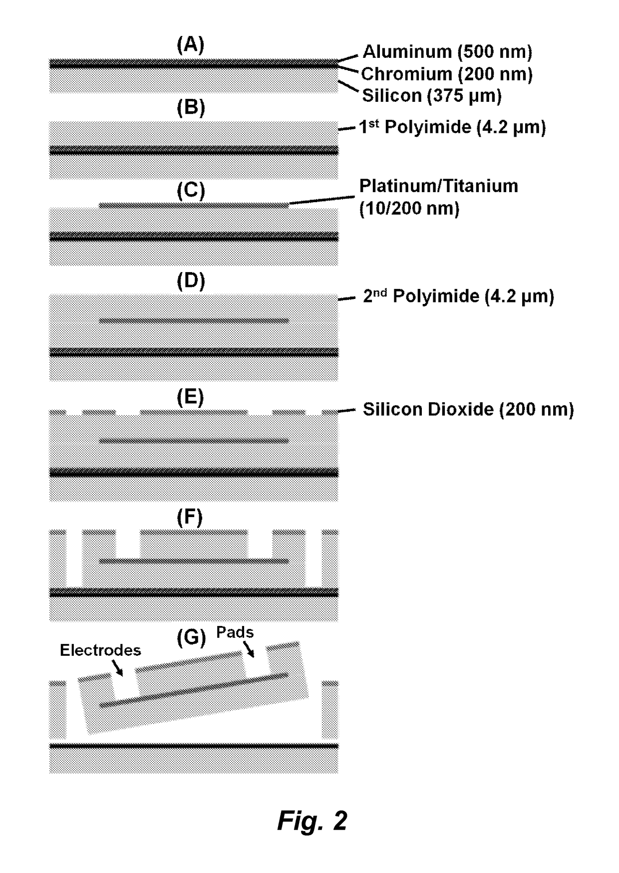 Multi-electrode array for spinal cord epidural stimulation