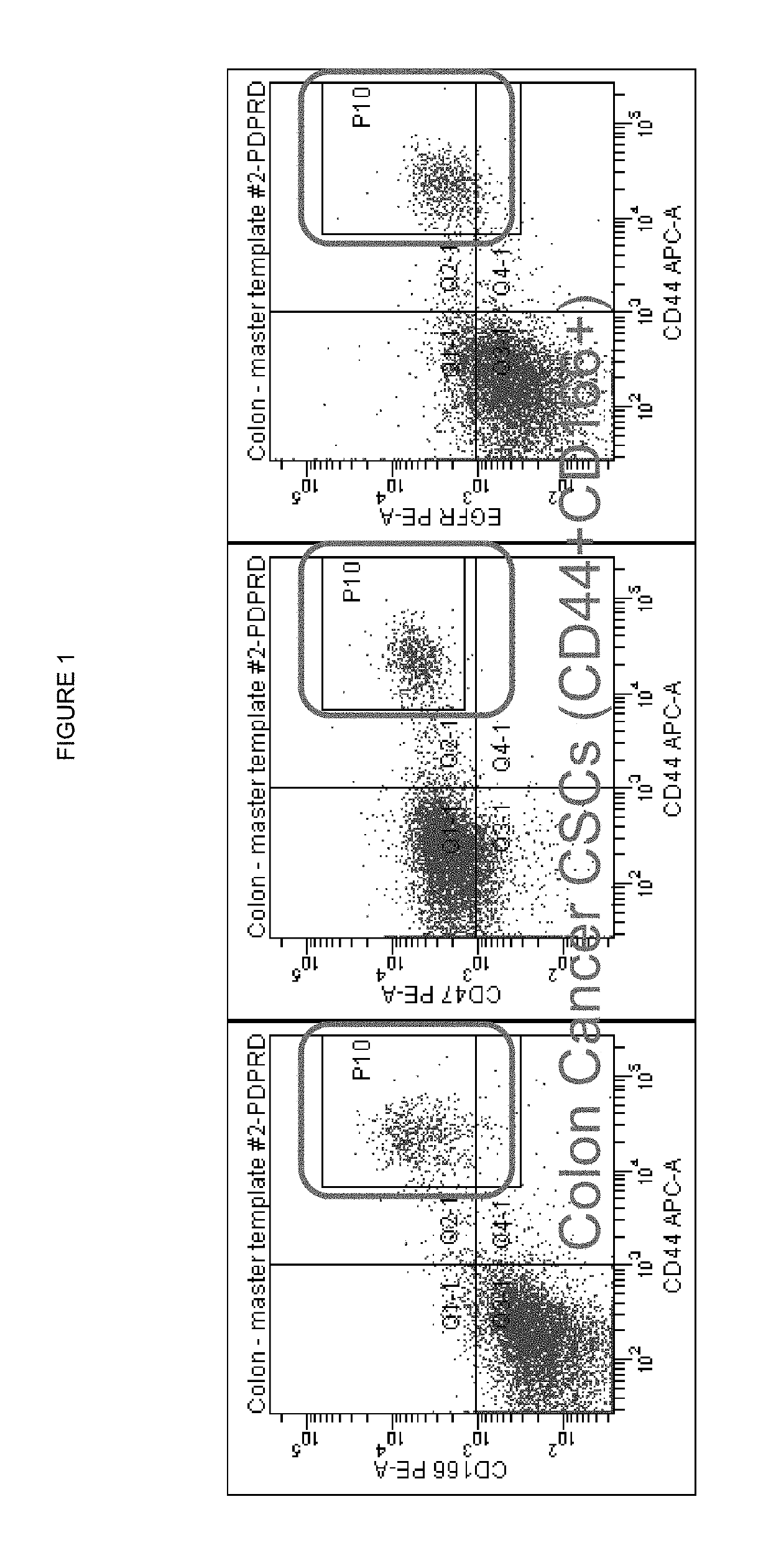 Treatment of cancer with dual targeting of CD47 and EGFR