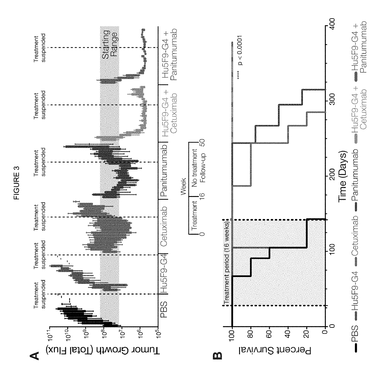 Treatment of cancer with dual targeting of CD47 and EGFR