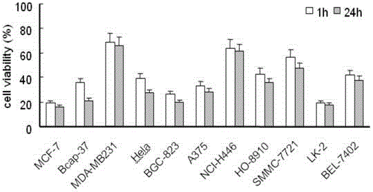 New cationic antimicrobial peptide and application thereof