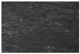 Alloy magnetic material and preparation method thereof