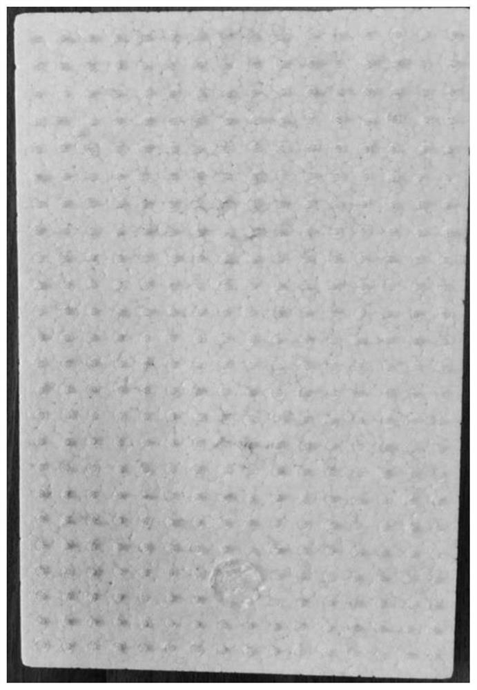 Low-shrinkage long-carbon-chain polyamide elastomer foamed bead as well as preparation method and application thereof