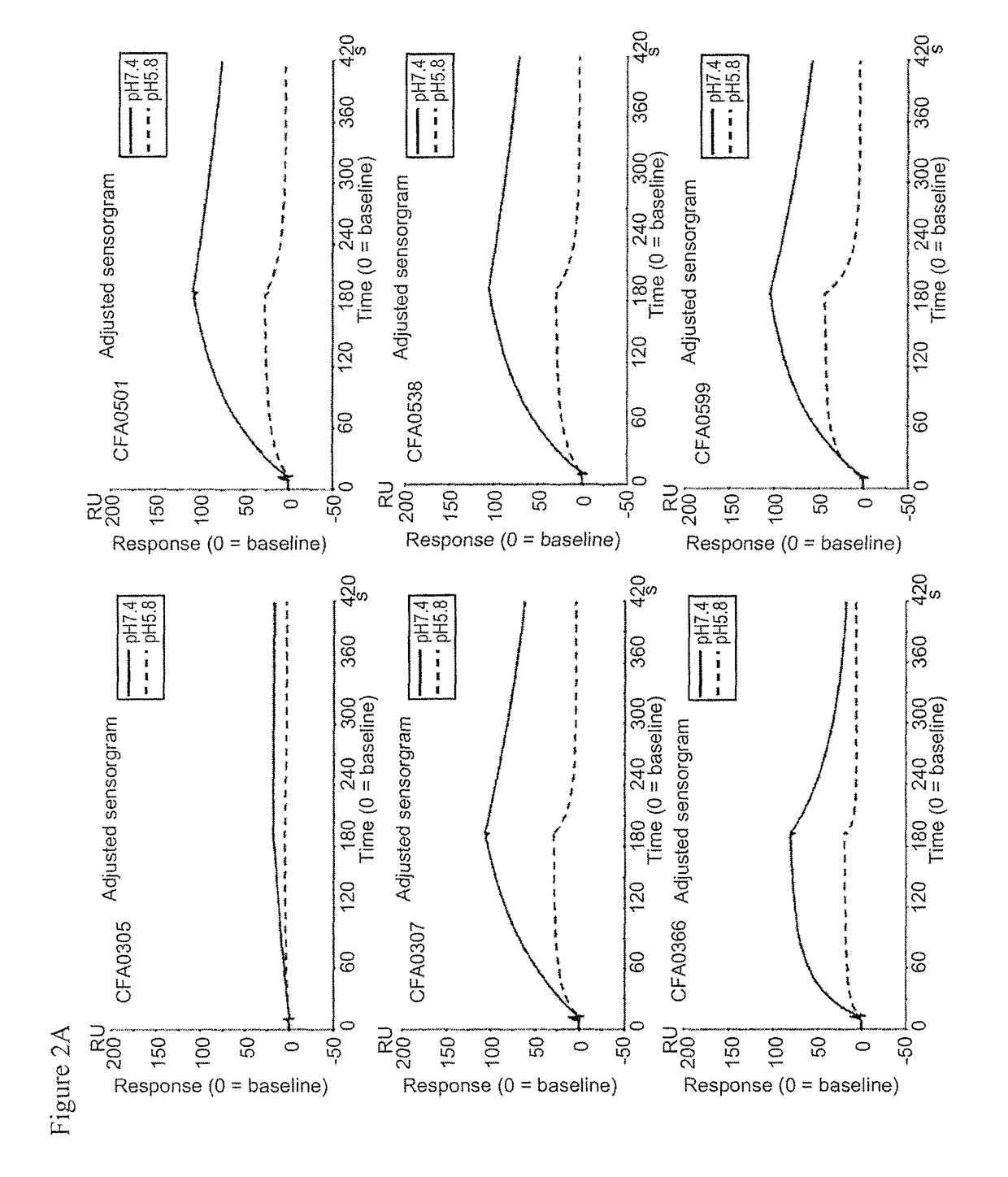 Anti-C5 antibodies