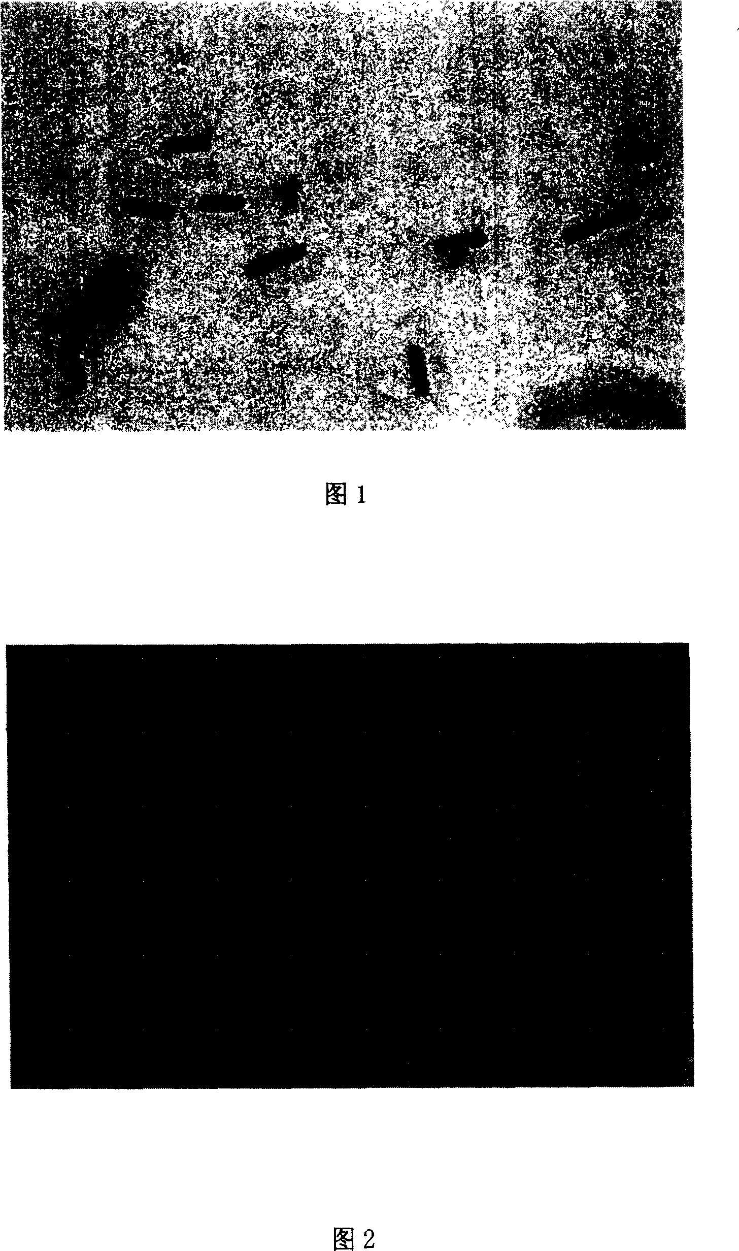 Bacillus subtilis capable of producing high purity 3-hydroxy butanone