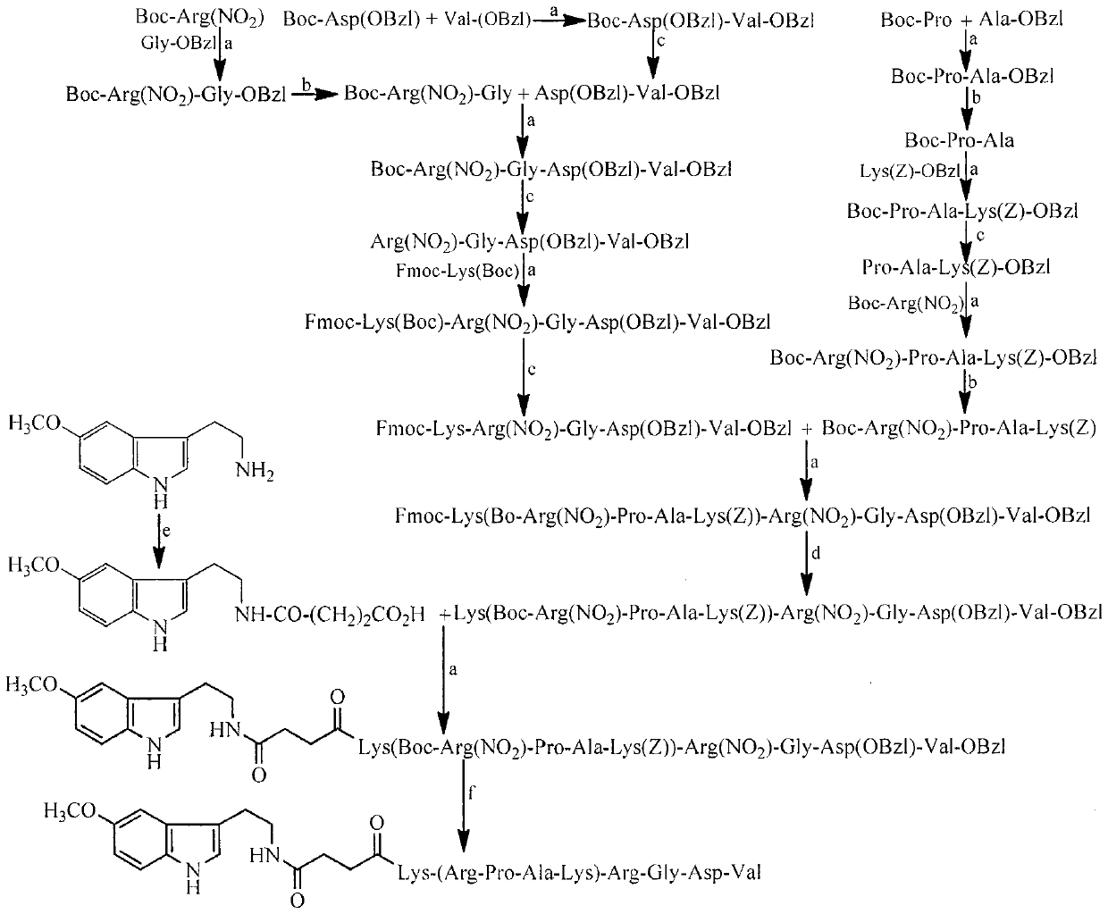 Pentamethoxytryptamine carbonylpropionyl-rpak peptide, its preparation, activity and application