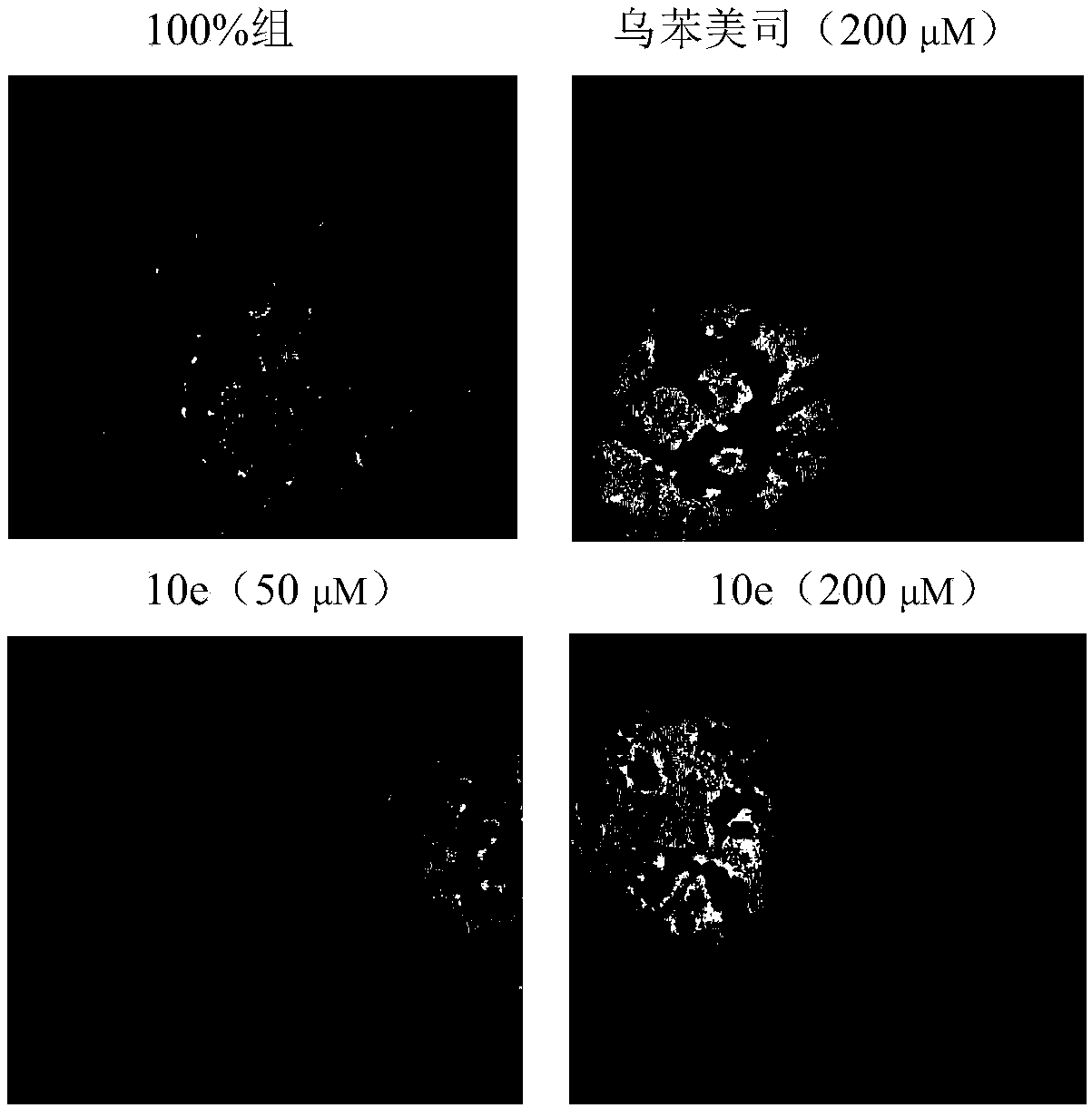 Pyrazoline aminopeptidase N inhibitors as well as preparation method and application thereof