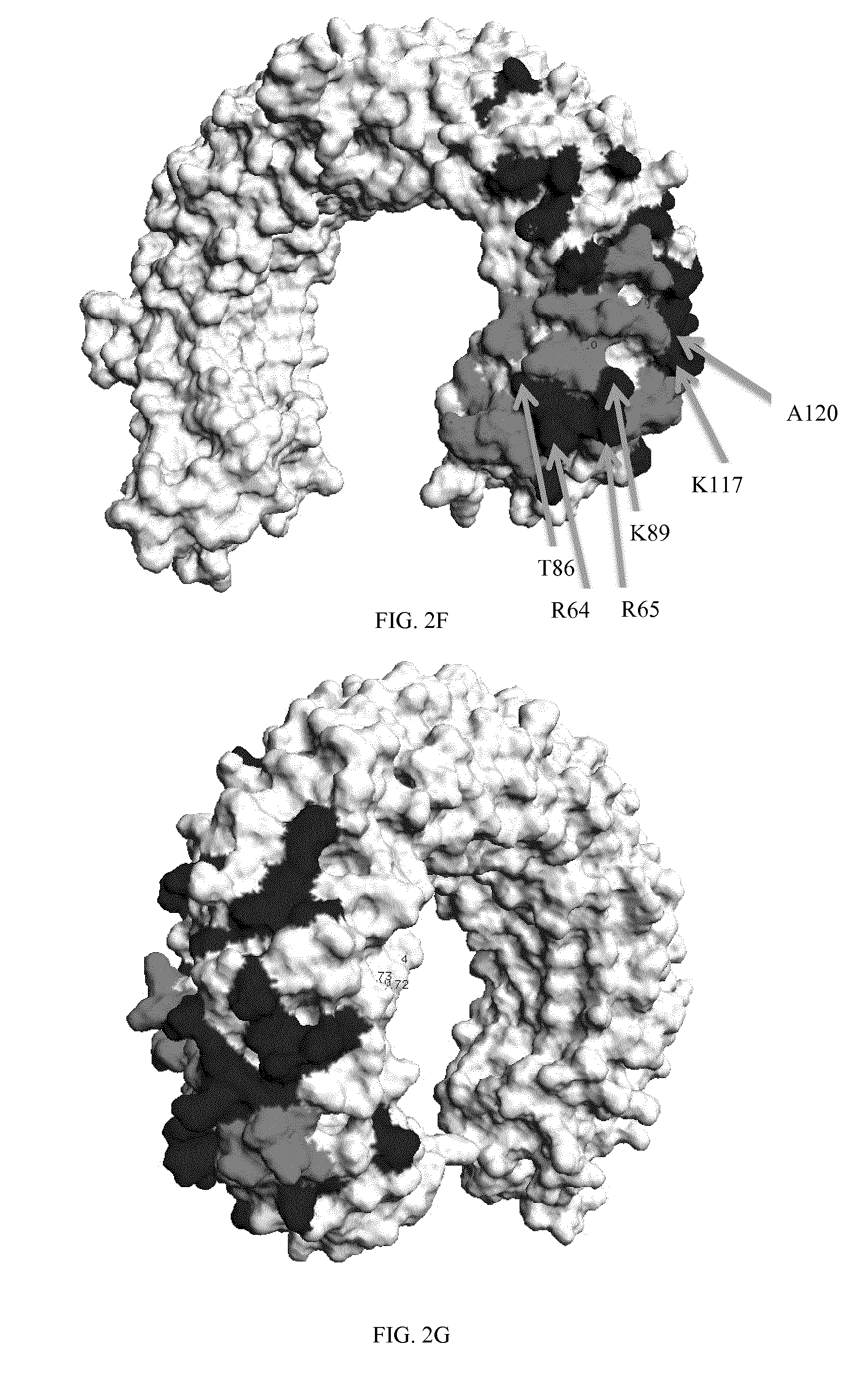 Tlr3 binding agents