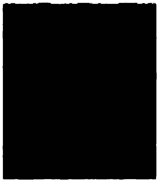 Sorafenib drug lipid nanosuspension and preparation method thereof