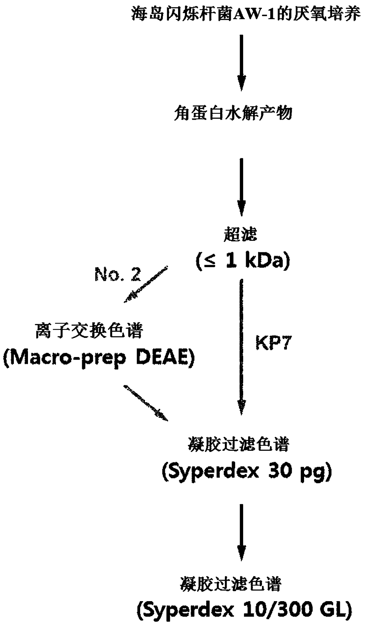 Method for preparing ultra-low-molecular-weight keratin peptide, and use thereof