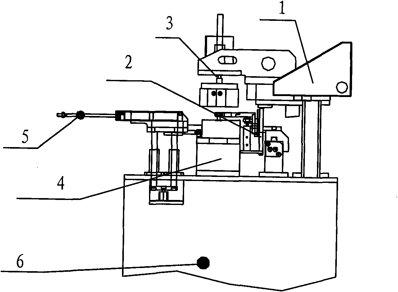 Automatic magnetizing apparatus and method of two poles of magnetic sheet