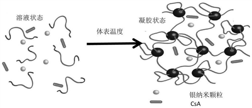 Hydrogel material used for treating full-thickness burn wound surface and preparation method of hydrogel material