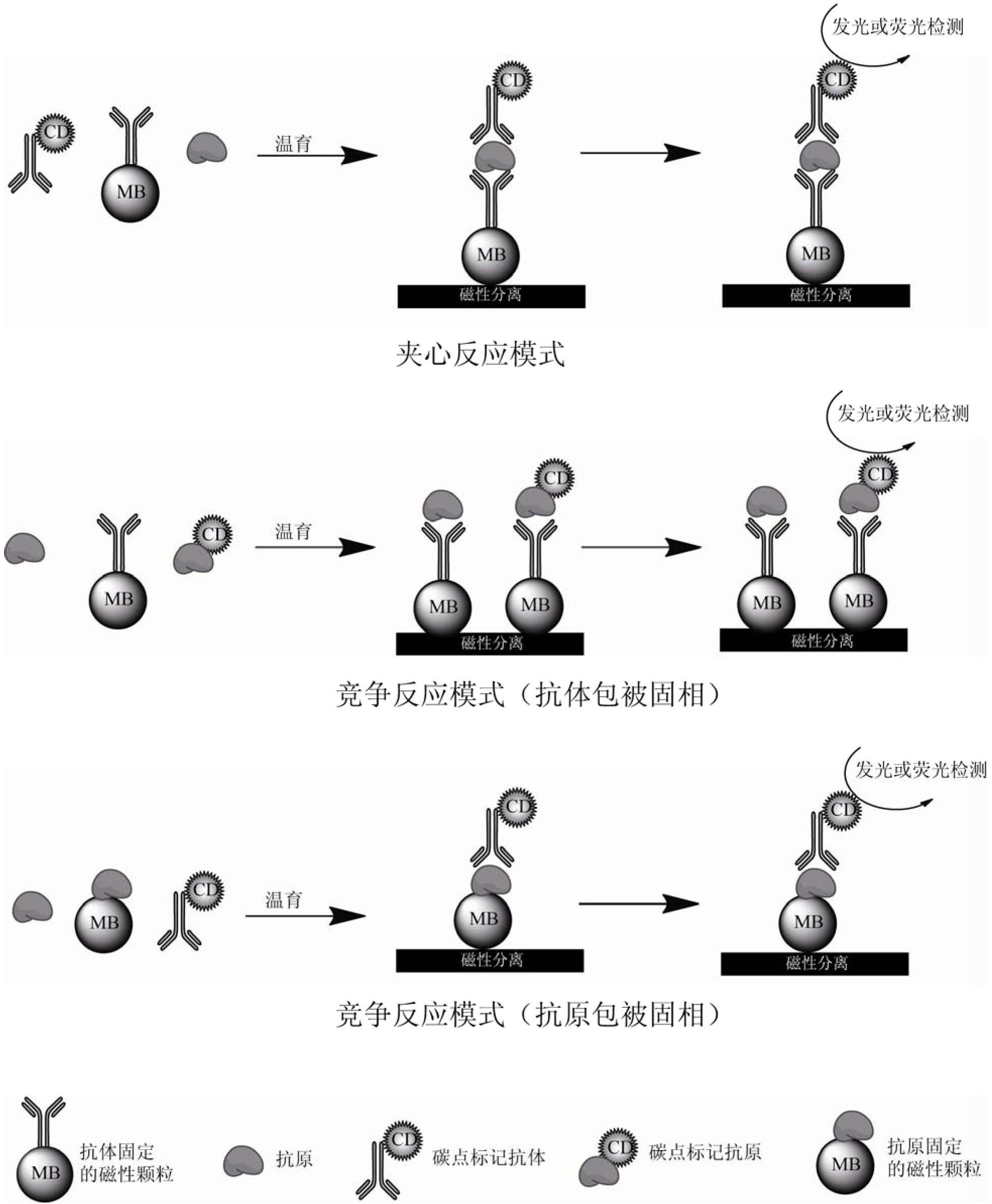 Immunoassay based on carbon nanomaterial