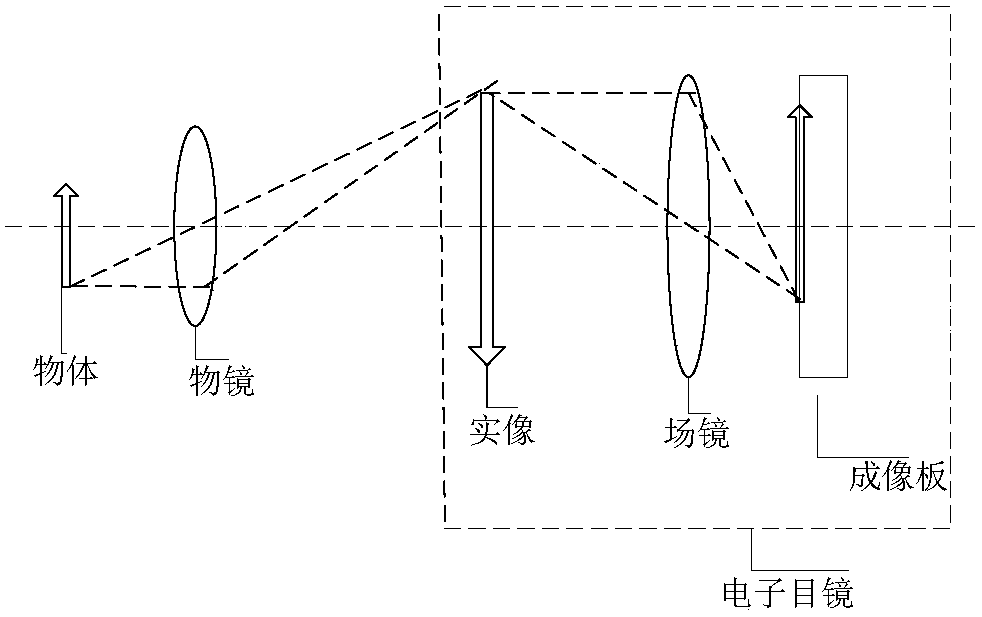 An automatic focusing electronic eyepiece and system