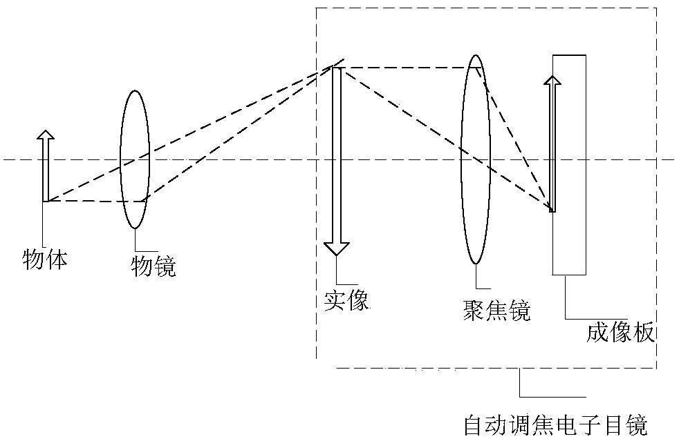 An automatic focusing electronic eyepiece and system