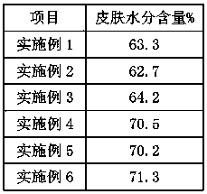 Skin care composition with effect of shrinking pores and mudpack