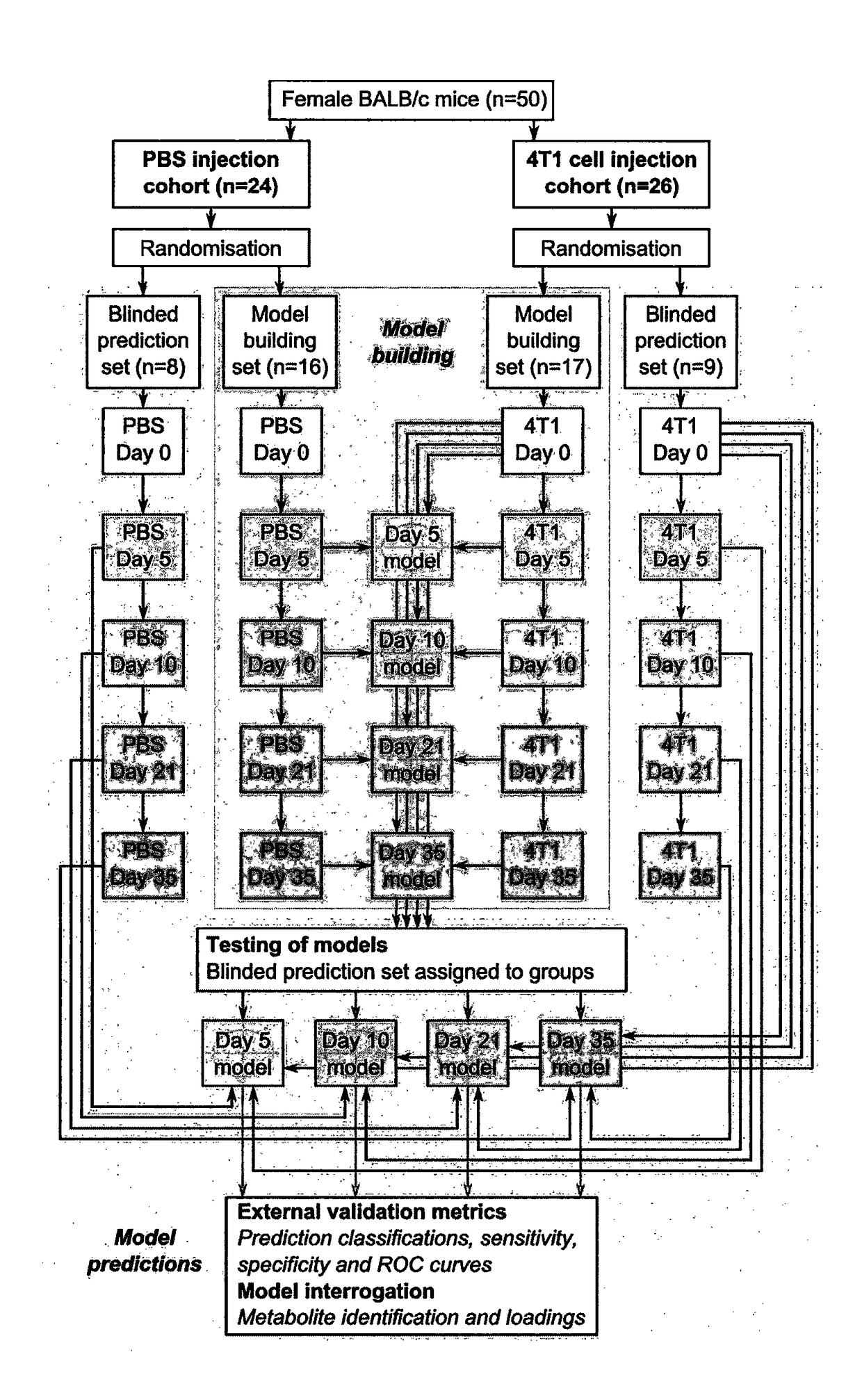 Method for diagnosing a brain tumour in a human