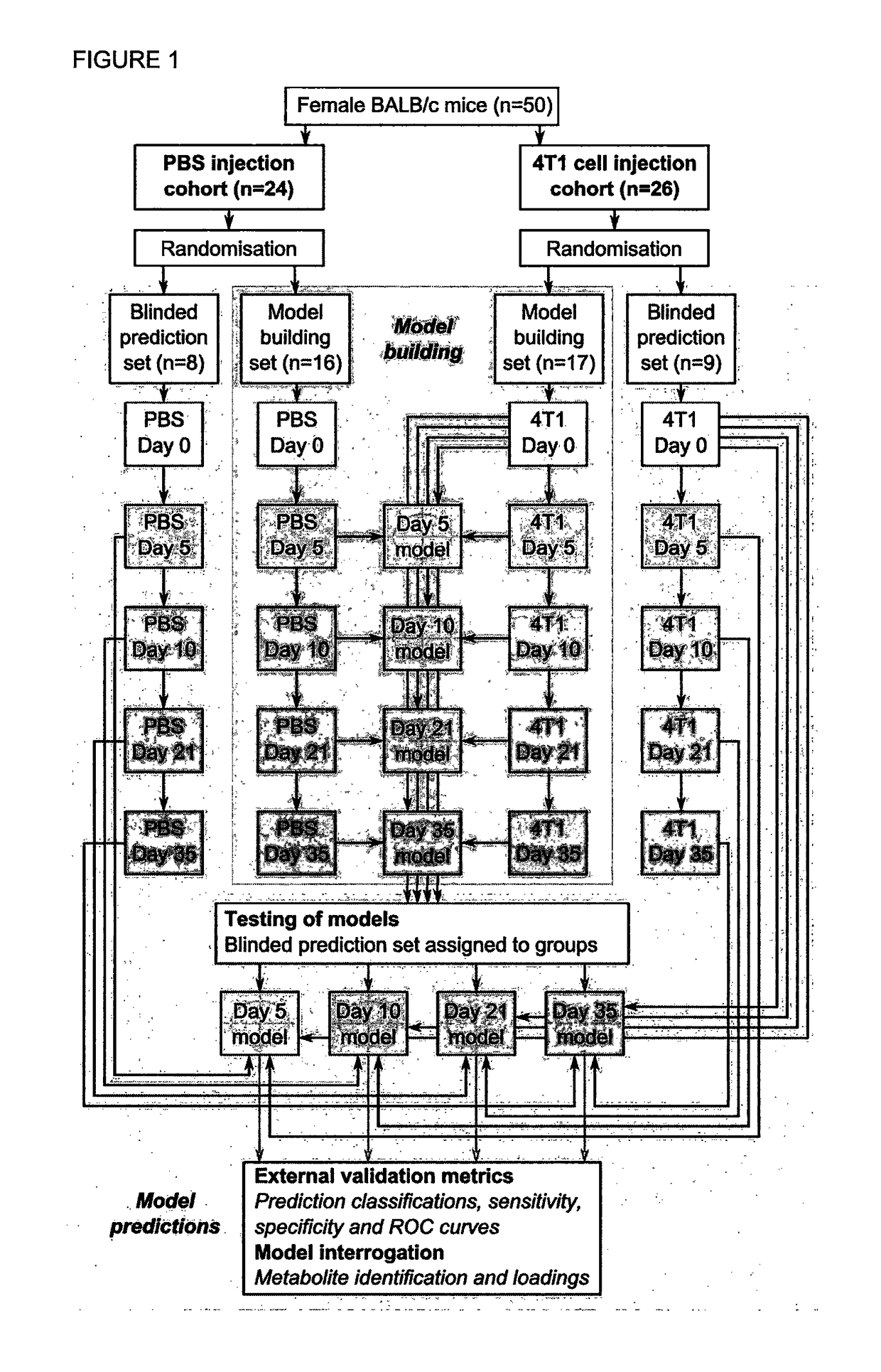 Method for diagnosing a brain tumour in a human