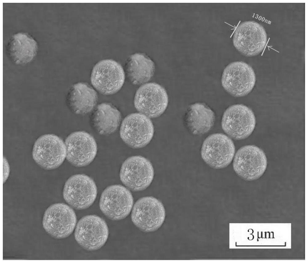 Meat enzymolysis pet food with antioxidant activity and preparation process of meat enzymolysis pet food