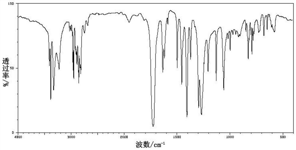 Meat enzymolysis pet food with antioxidant activity and preparation process of meat enzymolysis pet food