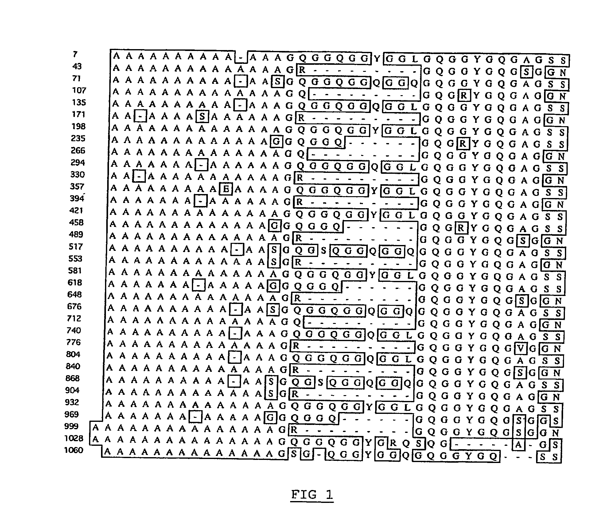 Spider Silk Proteins and Methods for Producing Spider Silk Proteins