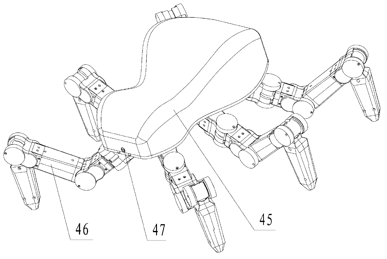 Novel six-foot robot