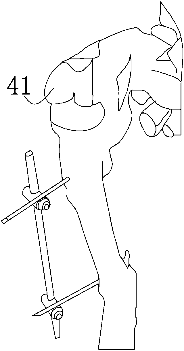 Biological specimen serving as surgical instrument and manufacturing method thereof