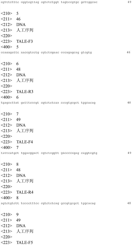 Construction method of TALE aggregate library