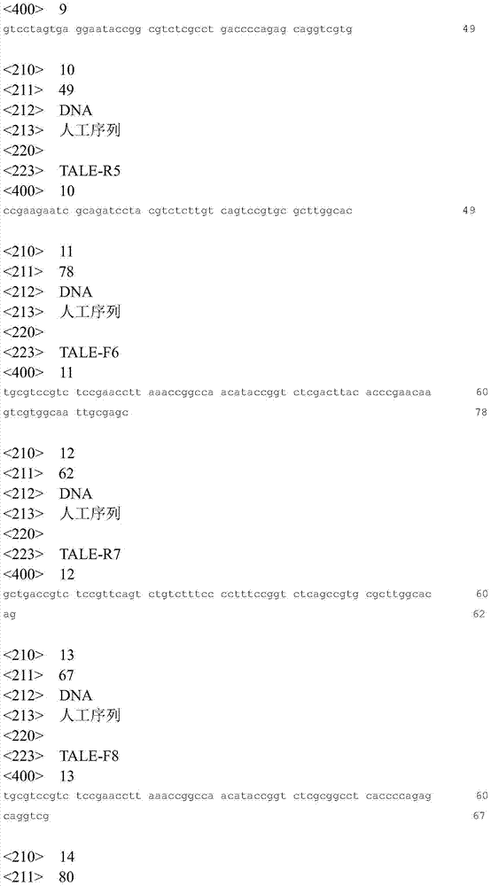 Construction method of TALE aggregate library