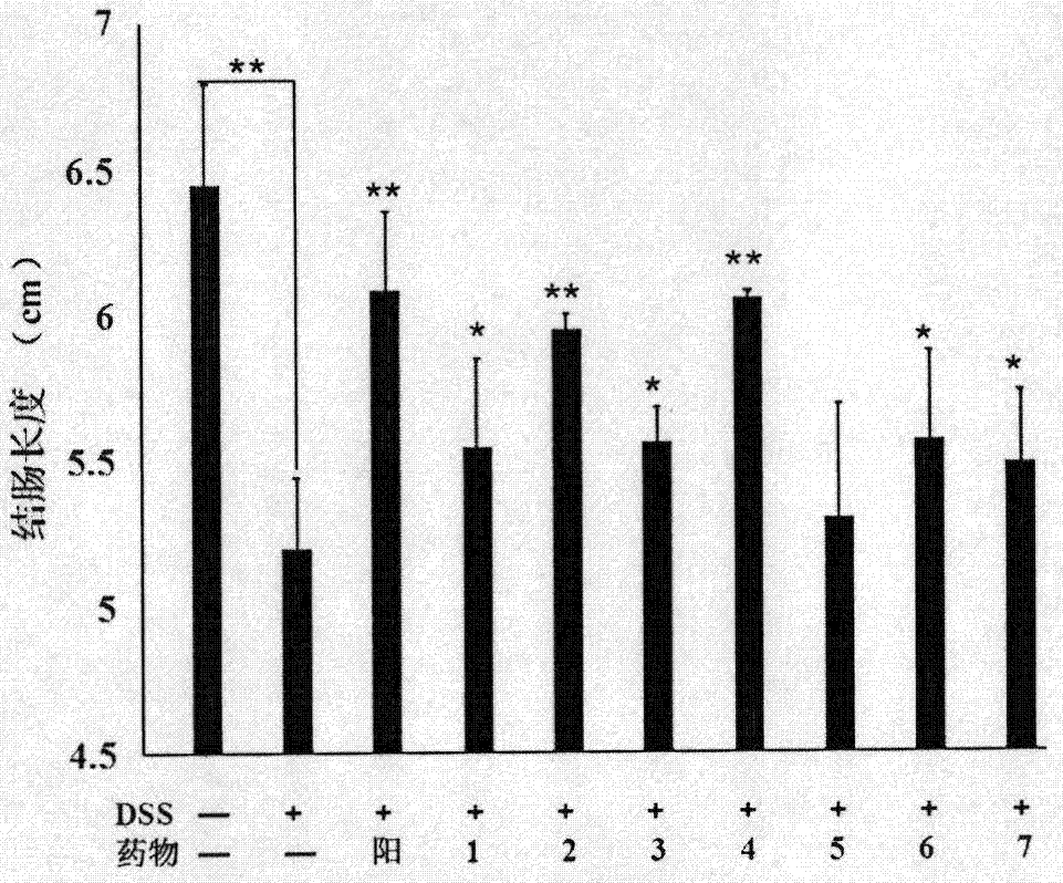 Callicarpa kwangtungensis extract separation preparation method and application of callicarpa kwangtungensis extract