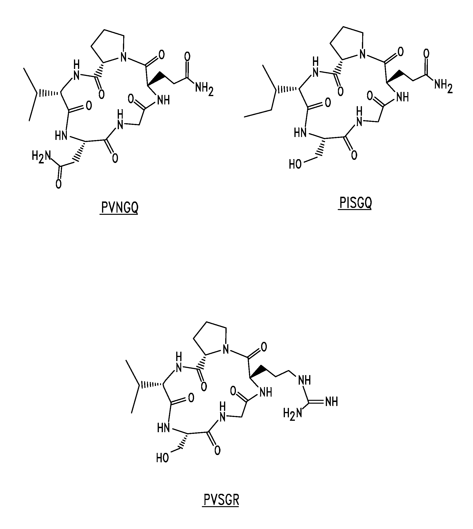 Compounds and methods for modulating adhesion molecule function